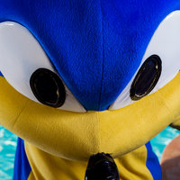 Surferbrg - Sonic The Hedgehog - Sonic Thumbnail
