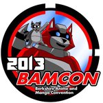 BAMCon 2013