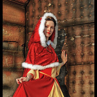 Belle Christmas Dress Thumbnail
