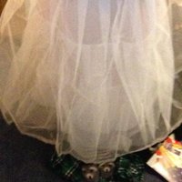 Wedding Harley Quinn Wedding Dress  That Cosplay Couple  Cospix