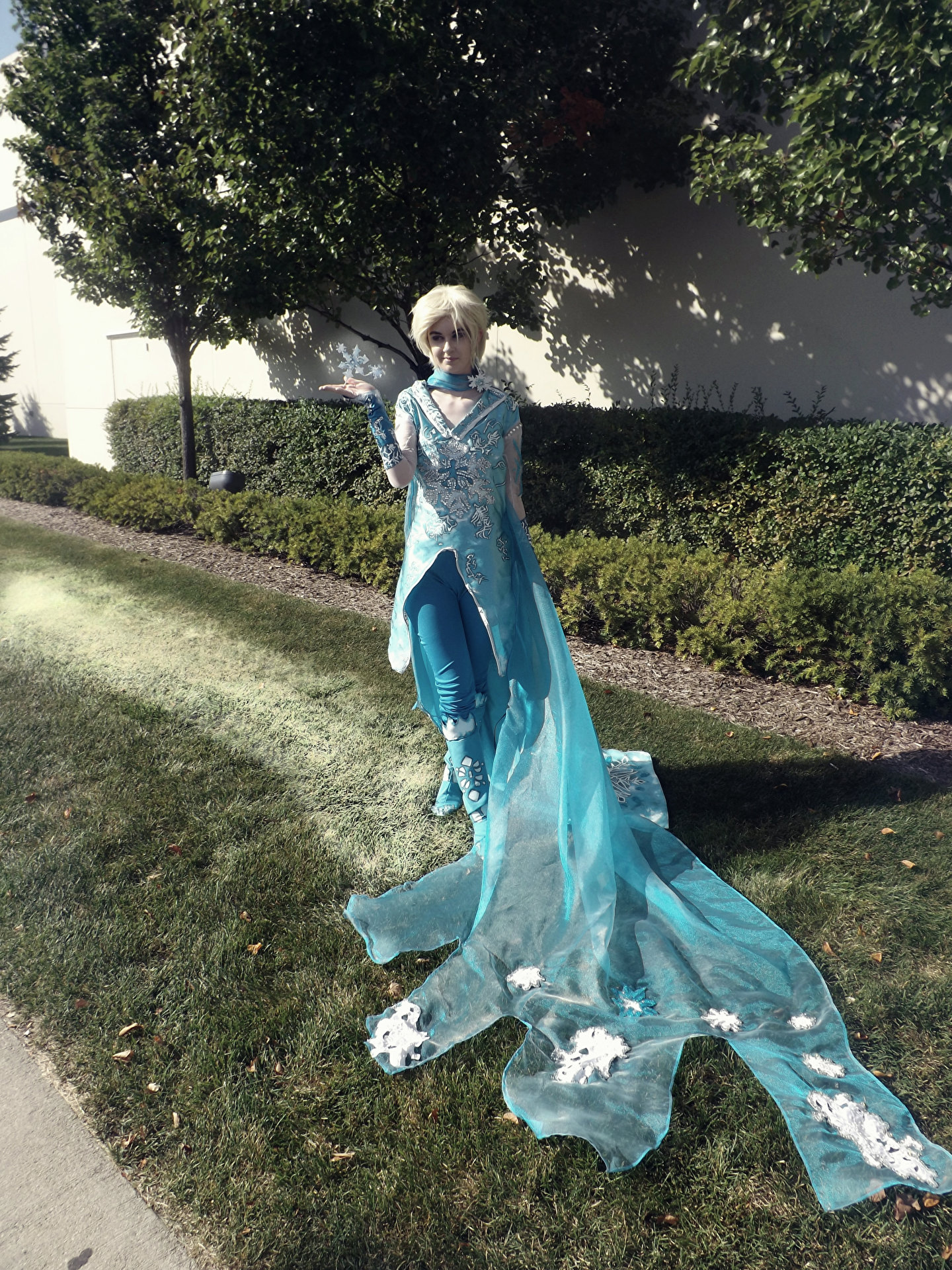 Male elsa costume best sale