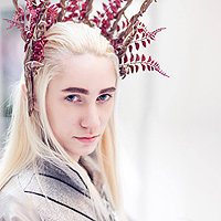 Thranduil Progress Thumbnail