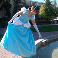 Cinderella sees her gown Thumbnail